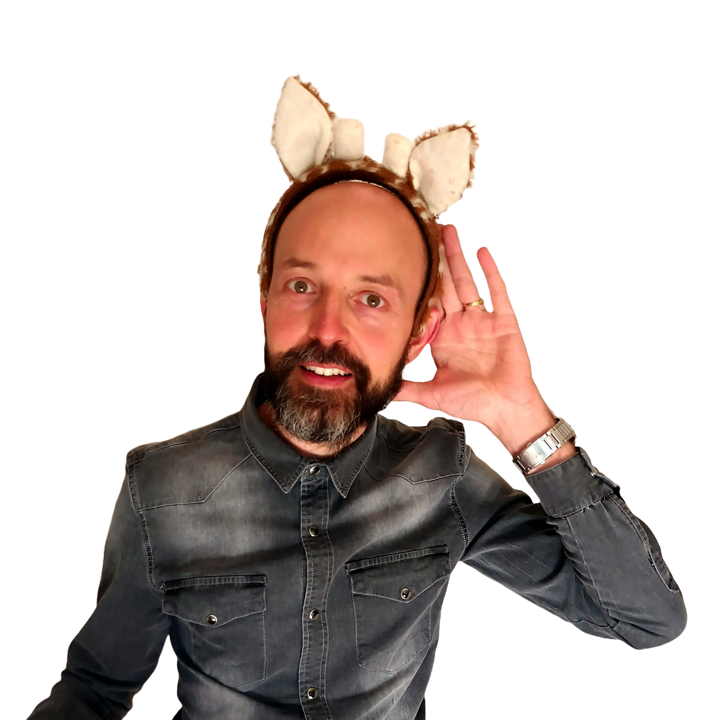 ZMYIxsin